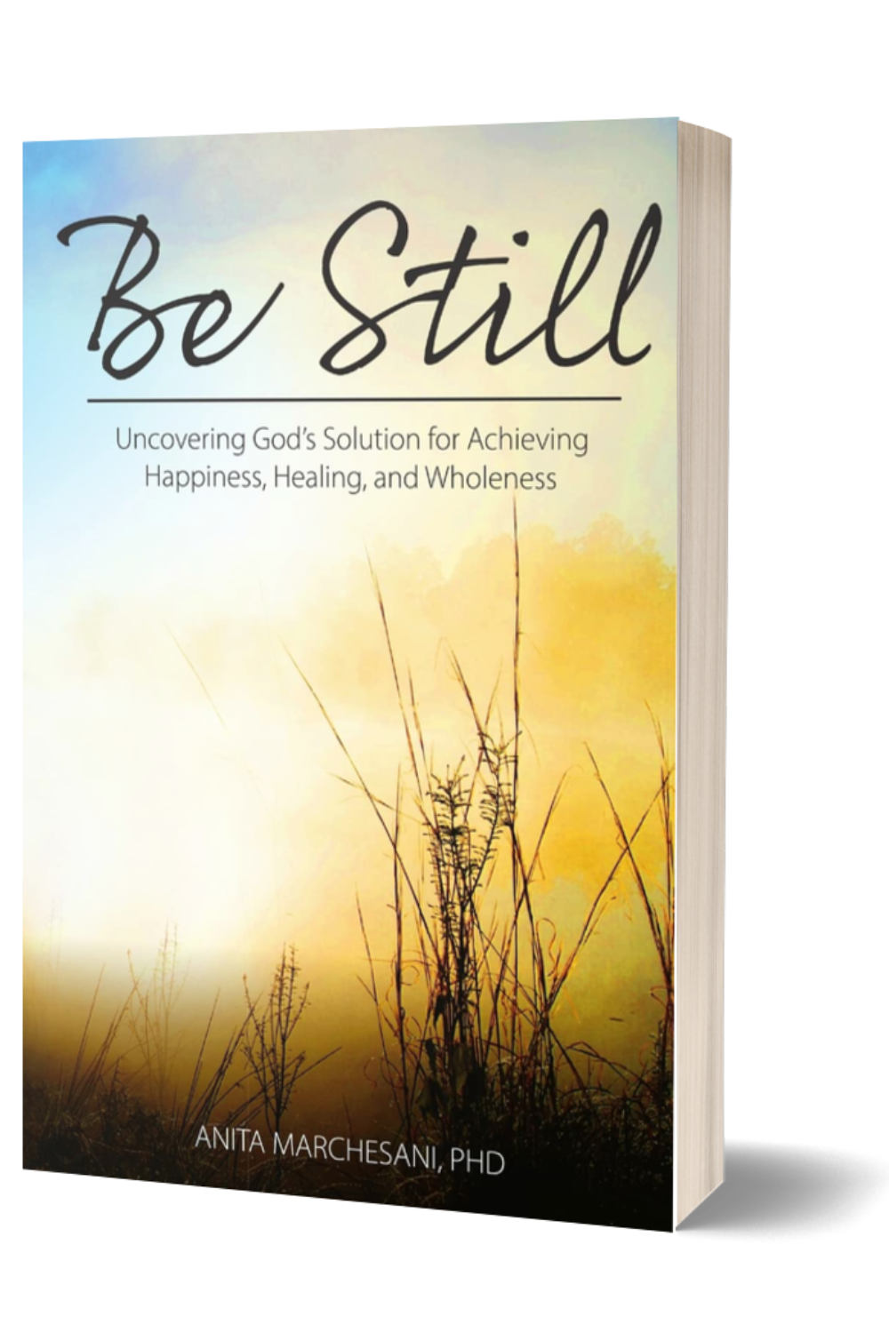 Dr. Anita Marchesani, psychologist, leadership coach, life coach, The Dr. Anita Group Community on Discord, and author of Be Still: Uncovering God's Solution for Achieving Happiness, Healing, and Wholeness